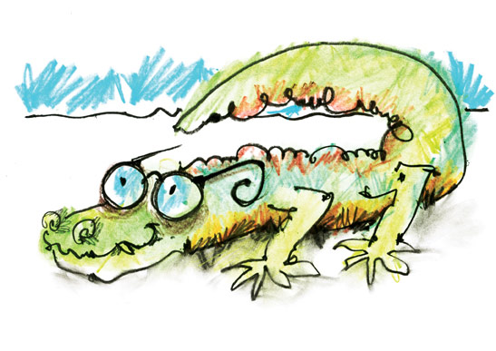 ¿Para qué sirve Xochimilco?