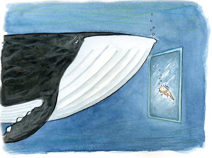 La crisis del agua en el presupuesto 2017, y la creciente responsabilización ciudadana