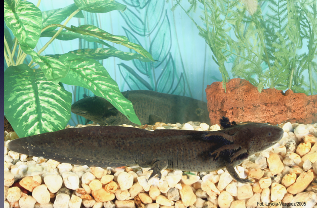 Imagen 1 Foto Carmen Loyola