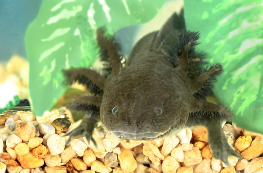 Imagen 3 Carmen Loyola