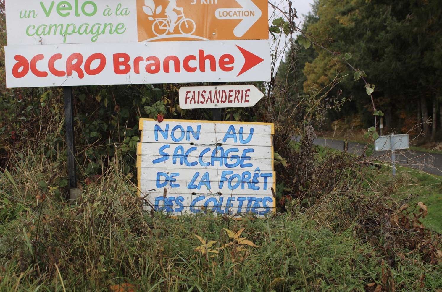 Letreros en rechazo al daño al Bosque de Colettes colocados frente a la carretera departamental que separa la mina del propio bosque